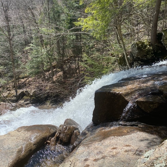 Meet your Posher, Lisa - Picture 1 of 1